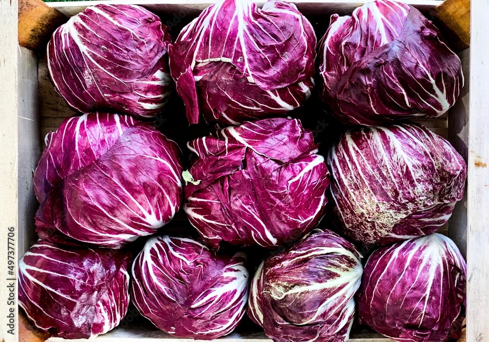 A box of red organic cabbage. Full frame Red cabbage background. Cabbage leaf texture or pattern. Fresh red leaf vein close up. Selective focus on leaf A box of red organic cabbage. Full frame Red cabbage background. Cabbage leaf texture or pattern. Fresh red leaf vein close up. Selective focus on leaf