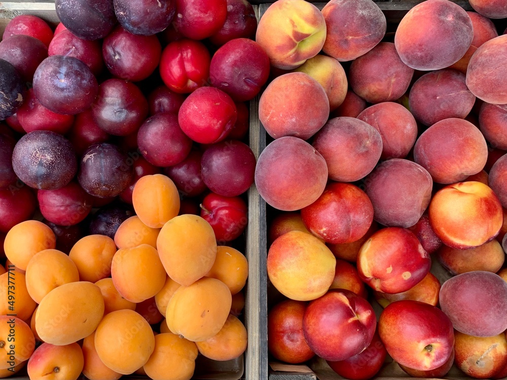 Farmer’s market: fresh organic apricot, plum, peach and nectarine in a wooden box