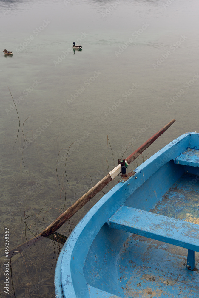 Blue old boat with wooden row at the edge of a water lake with some ducks swimming Blue old boat with wooden row at the edge of a water lake with some ducks swimming