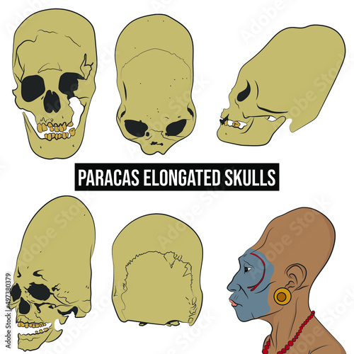 Paracas skulls, different views of skulls, paracas man side view. photo