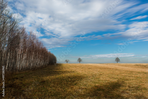 Fototapeta Naklejka Na Ścianę i Meble -  las słońca zieleń cisza relaks