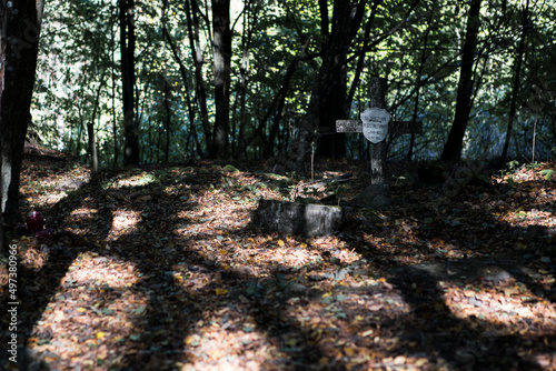 Fototapeta Naklejka Na Ścianę i Meble -  las słońca zieleń cisza relaks