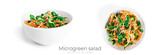 Microgreen salad with carrot and cucumber isolated in white background.