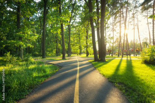 Fototapeta Naklejka Na Ścianę i Meble -  Beautiful road in green forest at sunset in summer. Colorful landscape with woods, bike road, green trees, grass at sunny evening. Nature. Walkway in blooming park park in Bucha, Ukraine before war.