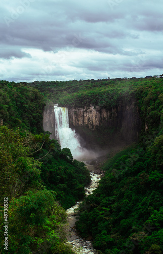 waterfall in the forest