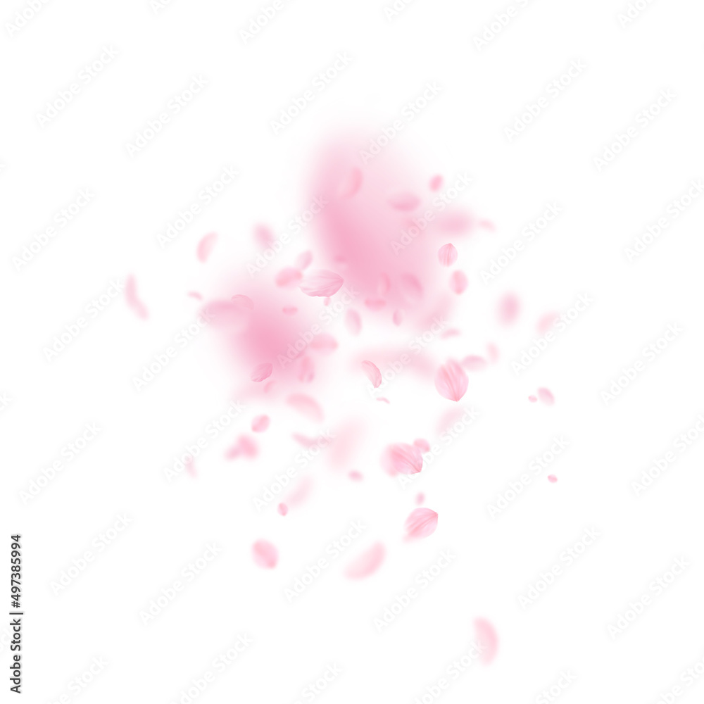 Sakura petals falling down. Romantic pink flowers explosion. Flying petals on white square background. Love, romance concept. Exceptional wedding invitation.