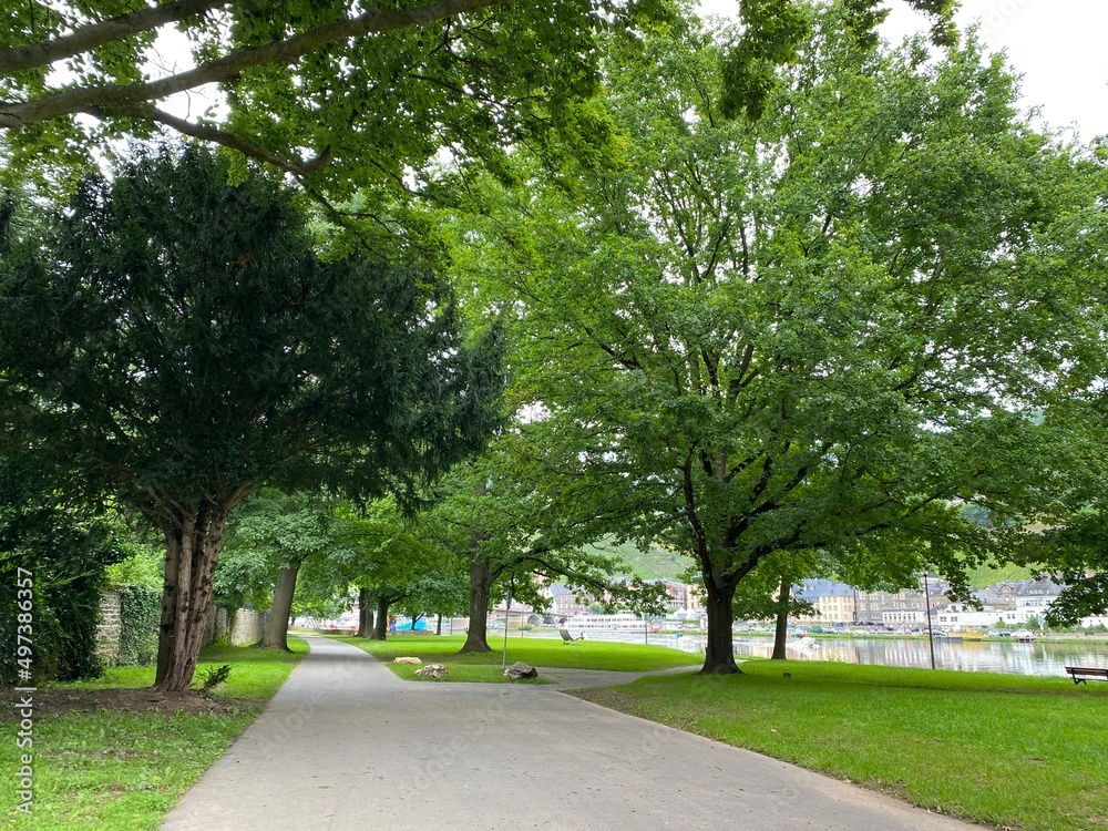 夏のモーゼルの公園