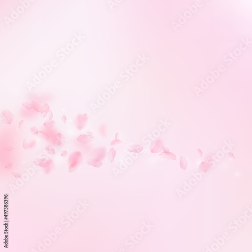 Sakura petals falling down. Romantic pink flowers comet. Flying petals on pink square background. Love, romance concept. Precious wedding invitation. © Begin Again