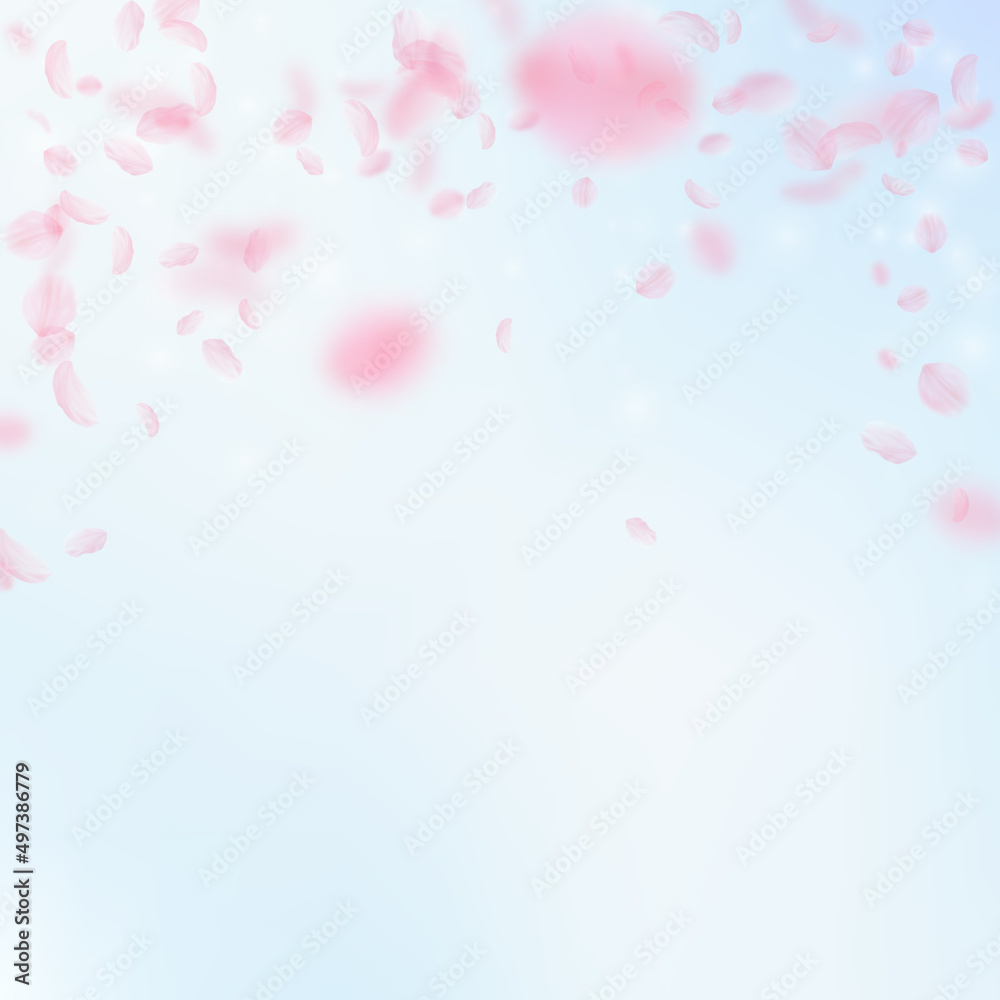 Sakura petals falling down. Romantic pink flowers falling rain. Flying petals on blue sky square background. Love, romance concept. Fancy wedding invitation.
