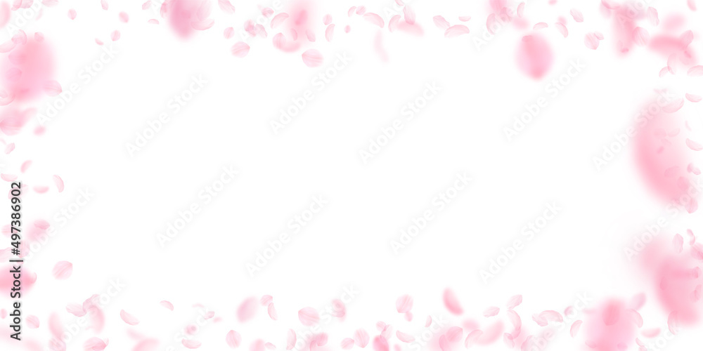 Sakura petals falling down. Romantic pink flowers frame. Flying petals on white wide background. Love, romance concept. Original wedding invitation.