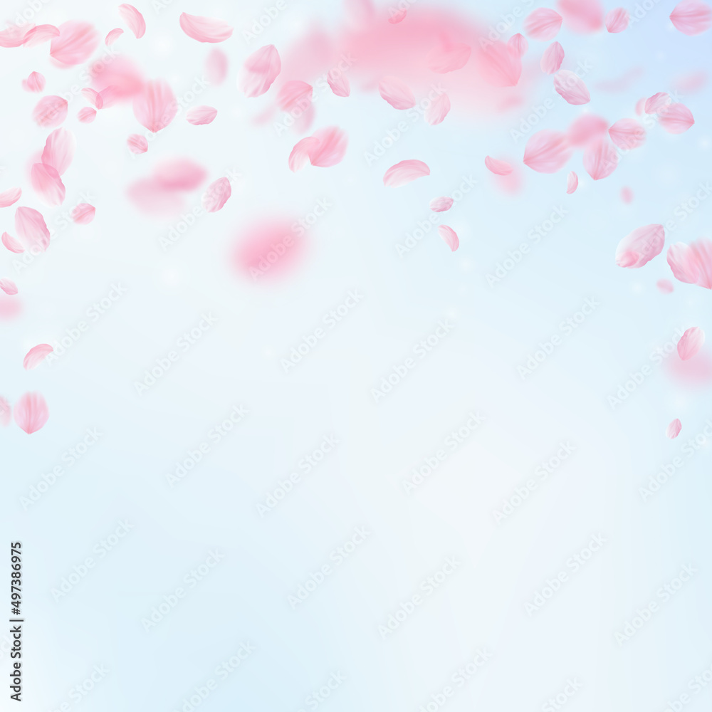 Sakura petals falling down. Romantic pink flowers falling rain. Flying petals on blue sky square background. Love, romance concept. Fascinating wedding invitation.