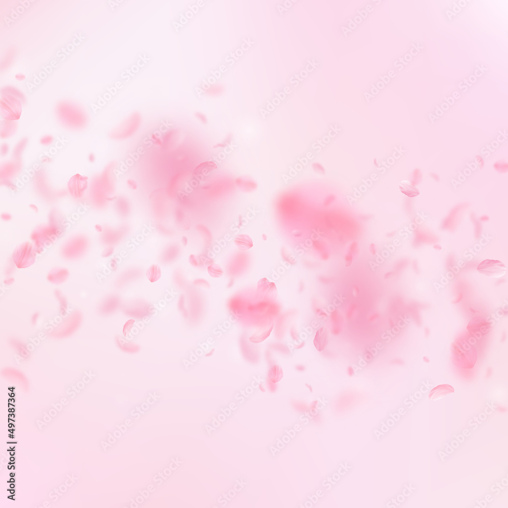 Sakura petals falling down. Romantic pink flowers falling rain. Flying petals on pink square background. Love, romance concept. Interesting wedding invitation.
