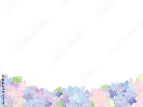 水彩の紫陽花（アジサイ）のイラスト素材