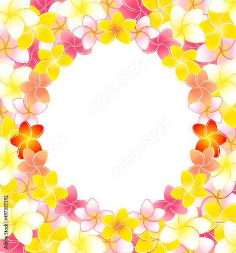 プルメリアの花飾りのゴージャスなスクエアフレームのイラスト