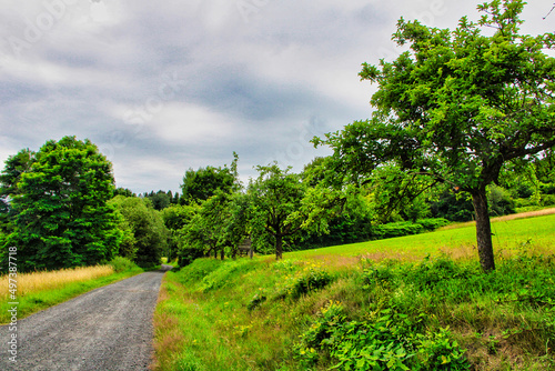 Sommerlandschaft mit Wiese und einem Weg 