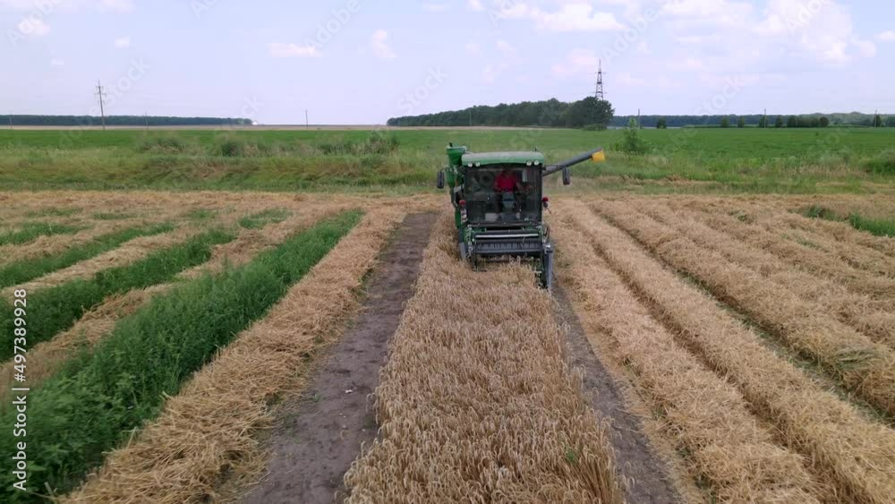 Modern small harvester machine is operating in the field on breeding station, slow motion aerial shot Modern small harvester machine is operating in the field on breeding station, slow motion aerial shot