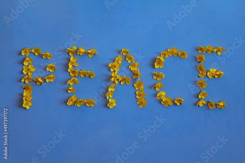  inscription  Peace  is made of yellow flowers on a blue background as a symbol of the Ukrainian flag