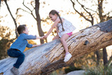 Niños felices jugando divertidos disfrutando subiendo escalando trepando un árbol un tronco en el parque al aire libre en un atardecer