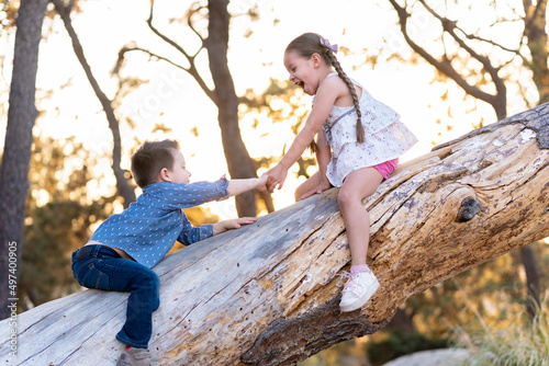 Niños felices jugando divertidos disfrutando subiendo escalando trepando un árbol un tronco en el parque al aire libre en un atardecer