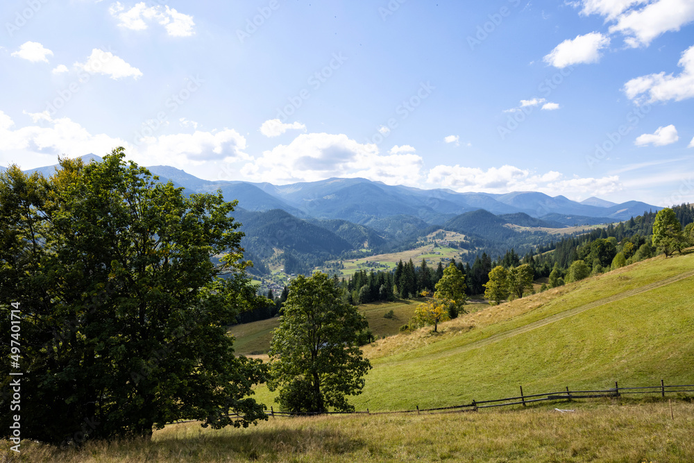 Beautiful mountain landscape with field and forest on sunny day