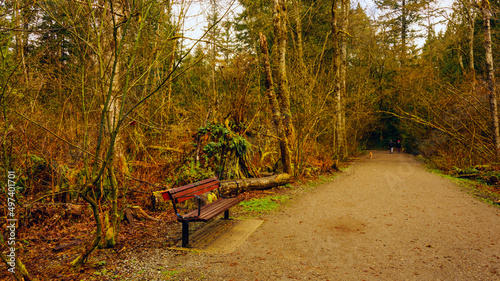 Come rest a while on this bench by a BC "off-leash" urban forest trail.