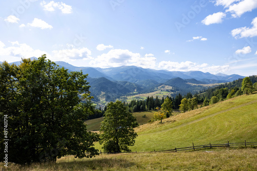 Beautiful mountain landscape with field and forest on sunny day