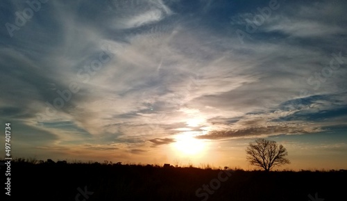 sunset over the field