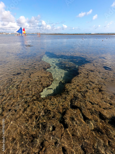 Jangadas coloridas no horizonte e em primeiro plano arrecifes formam uma piscina natural com formato do mapa do brasil photo