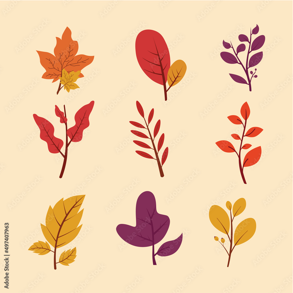 bundle collection leaf autumn