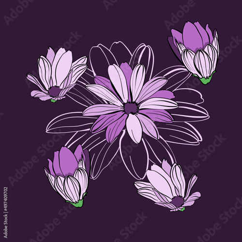 African daisies  flowers on a purple background in doodle technique vector illustration 