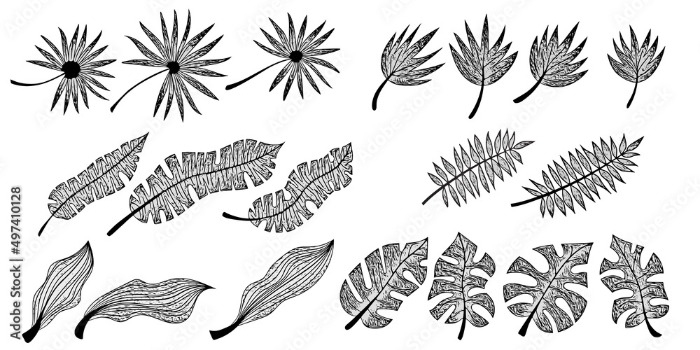 Set of vector tropical leaves in grayscale