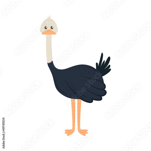 ostrich icon isolated