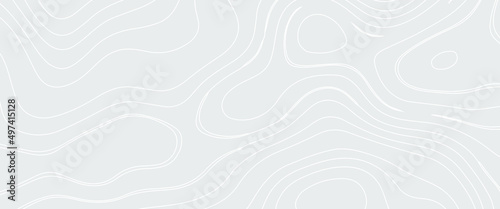 White wave paper curved reliefs abstract background, Abstract topographic contours map, Topography map background. Vector geographic contour map. Abstract topographic contours map background.