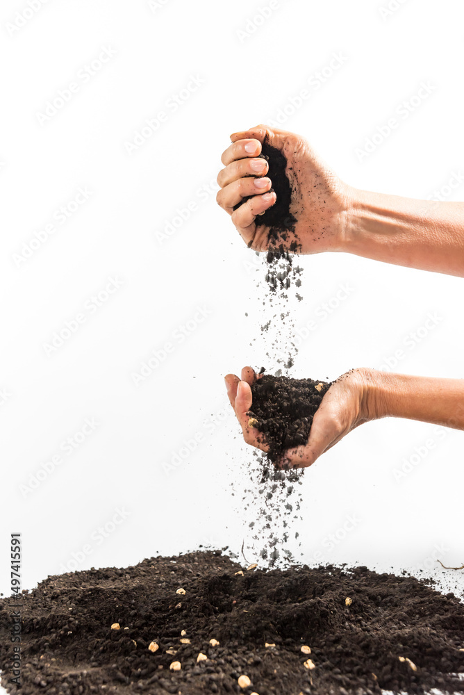 hand throwing soil, gardening concept, earth day, white background