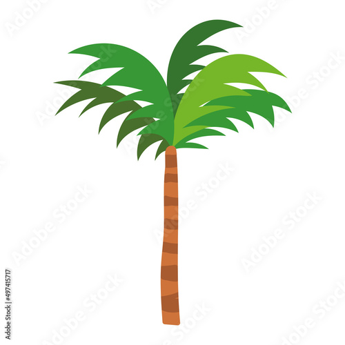 tropical palm tree © Stockgiu