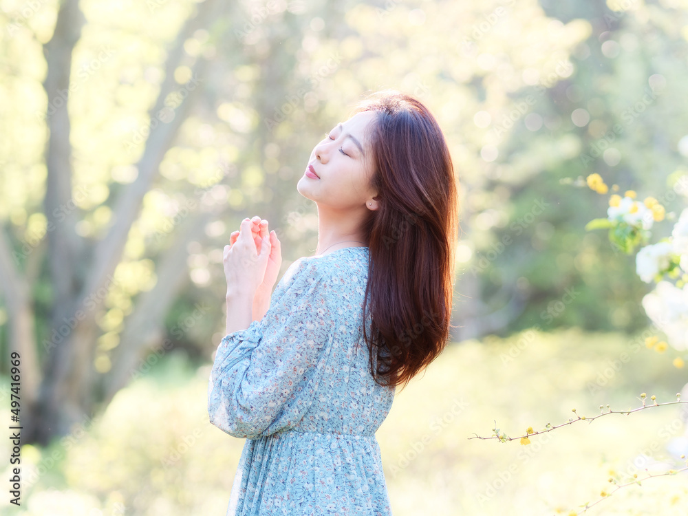 Portrait of elegant Chinese girl in dress enjoy carefree time in forest park in sunny day. Outdoor fashion portrait of glamour young Chinese cheerful stylish woman. Portrait of elegant Chinese girl in dress enjoy carefree time in forest park in sunny day. Outdoor fashion portrait of glamour young Chinese cheerful stylish woman.