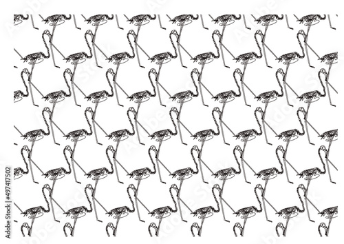 スカルフラミンゴ