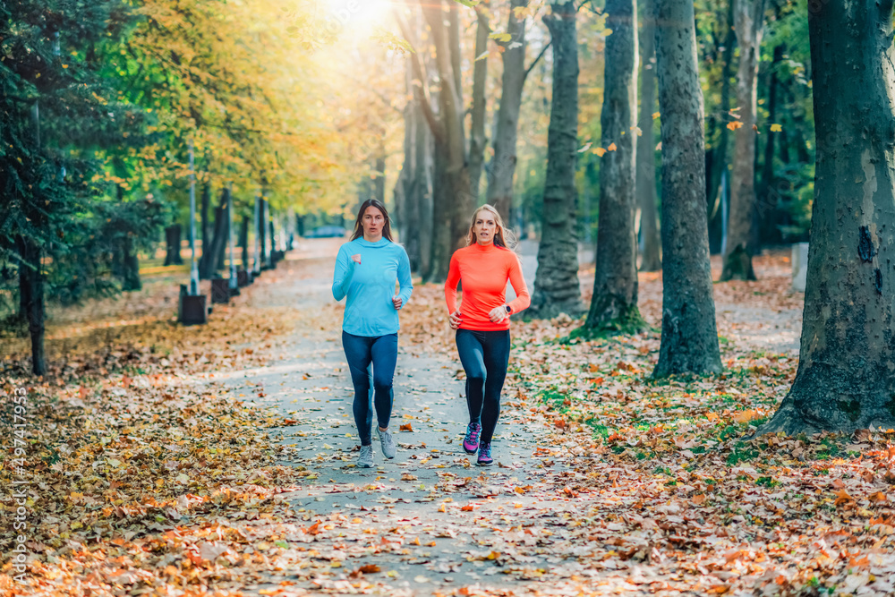 Friends Jogging Outdoors in a Public Park. Autumn, Fall. Friends Jogging Outdoors in a Public Park. Autumn, Fall.