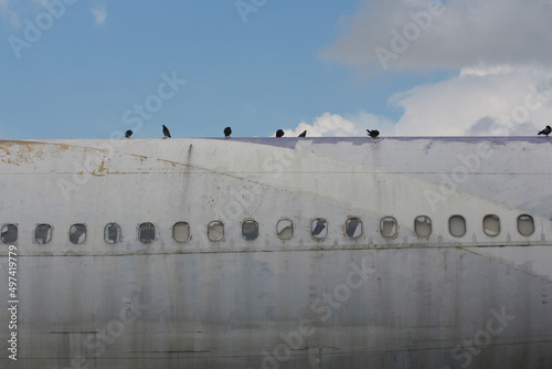 Fototapeta Naklejka Na Ścianę i Meble -  Fuselage of an old plane and birds are perched on the plane.