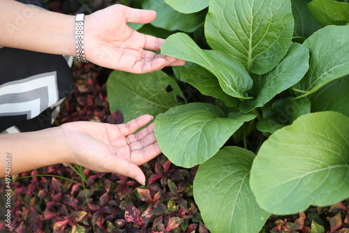 women holding a plant