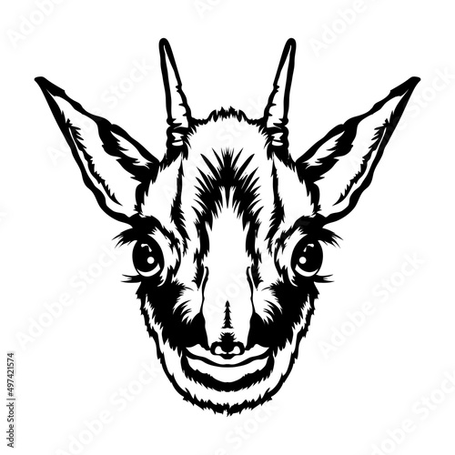 Dik dik face vector iilustration in hand drawn style, perfect for tshirt and mascot design 