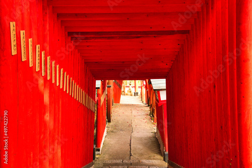 日本の赤い鳥居のイメージ写真 © san724