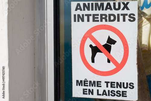 Prohibiting red signs animals prohibited even on a leash dog sign french text means animaux interdits même tenus en laisse on access store photo