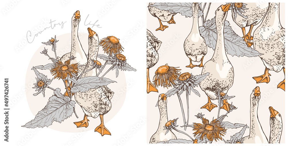 Fototapeta Set of print and seamless wallpaper pattern. Gooses group on a herbal Wildflowers background. Textile composition, hand drawn style print. Vector illustration.