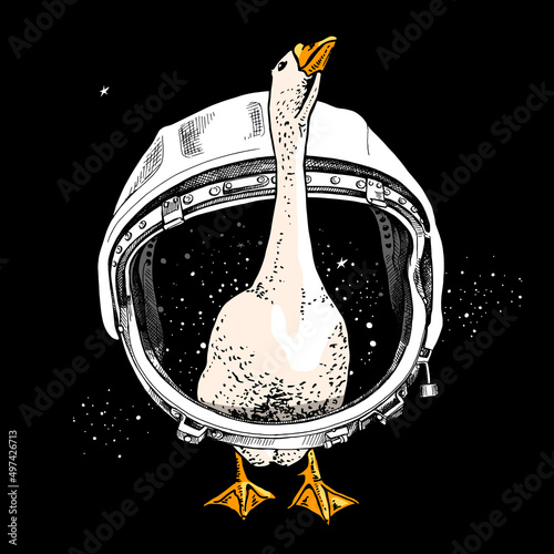 Funny Gooses in the retro Astronaut's helmet. Humor card, t-shirt composition, hand drawn style print. Vector illustration.
