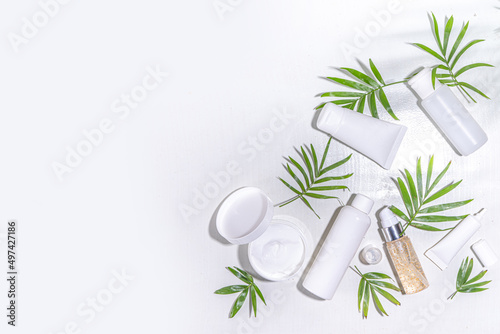 Beauty cosmetic skincare products on white background with tropical palm leaves flatlay copy space. Set of white jars, tubes, droppers and bottles. Summer spa, daily natural skin care routine concept