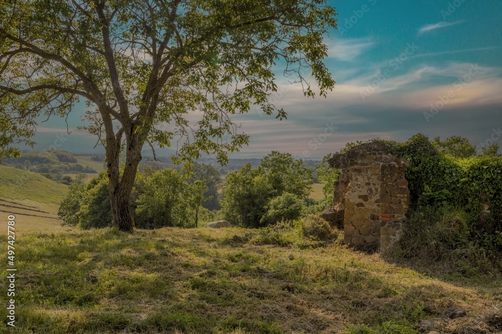Paesaggio campestre Paesaggio campestre