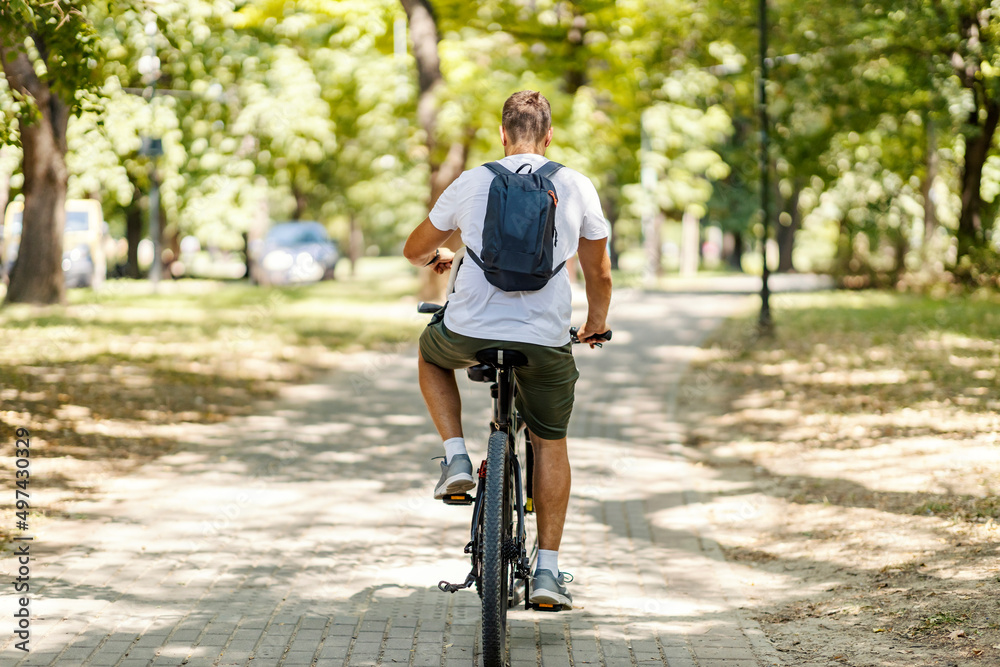 Rear view of a man riding a bicycle in nature and living healthy life ...