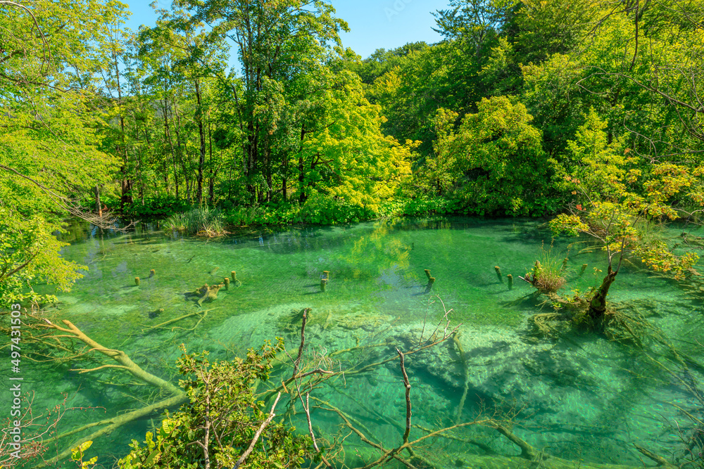 The Milino Jezero lake of Plitvice Lakes National Park in Croatia, Lika region. UNESCO World Heritage of Croatia named Plitvicka Jezera. The Milino Jezero lake of Plitvice Lakes National Park in Croatia, Lika region. UNESCO World Heritage of Croatia named Plitvicka Jezera.