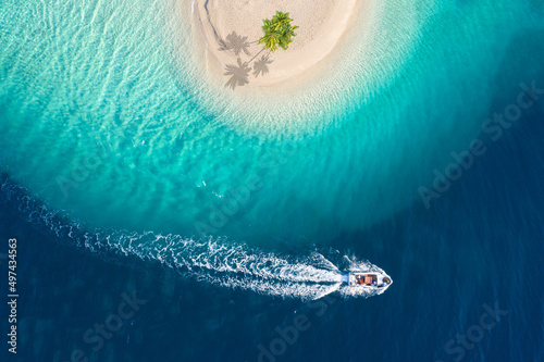 Fototapeta Naklejka Na Ścianę i Meble -  perfect palm island in the turquoise ocean